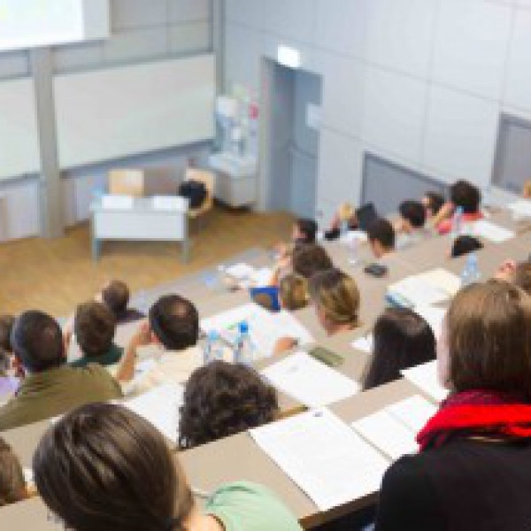 MBO / HBO / Universiteit