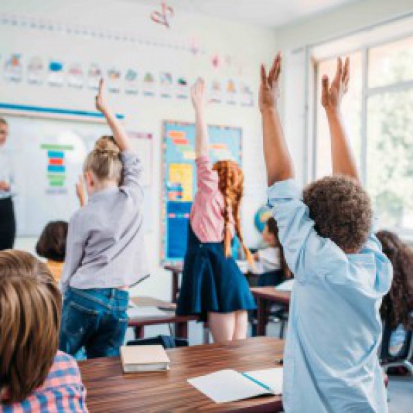 Basisschool / Middelbare school