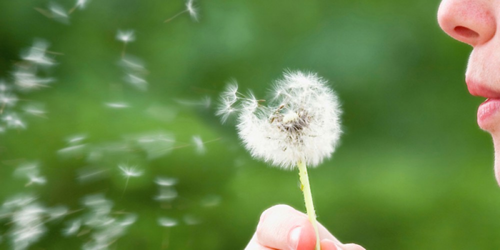 Hoe stop je allergieën en hoe kun je de symptomen beheersen?